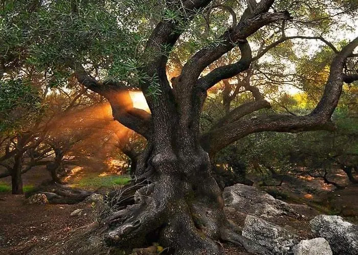 Cozy Eco 度假居 *