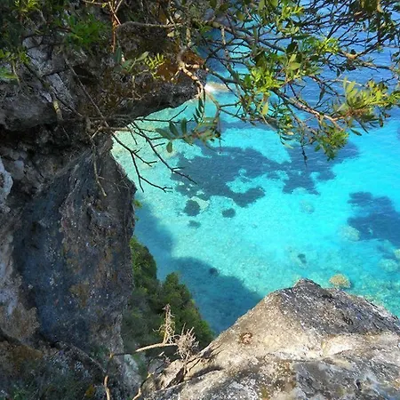 Cozy Eco Hébergement de vacances *