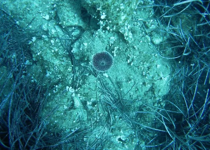 Дом отдыха Cozy Eco